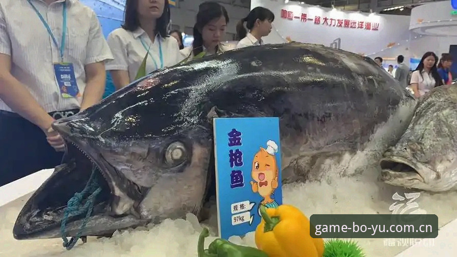 从质疑到信赖：资深玩家的博鱼APP使用心得与真实评价